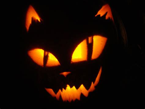 10+ Pumpkin Cat Carving Ideas - DECOOMO | Pumpkin carving, Amazing pumpkin carving, Halloween ...