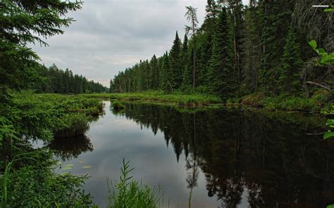 Pond Wallpapers - Wallpaper Cave