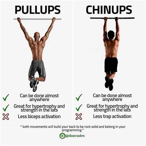 Fitness Trio : Pull Ups For Biceps Mass