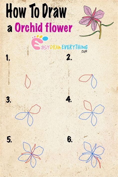 Learn how to draw an Orchid flower drawing - Easy drawings | Blumen zeichnung, Blumenzeichnung ...