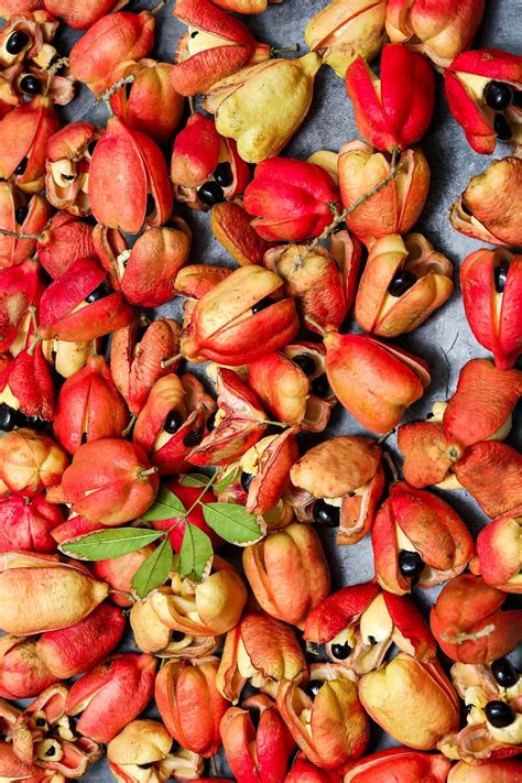 Jamaican Ackee Benefits - Healthier Steps