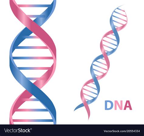 Dna cartoon icon Royalty Free Vector Image - VectorStock