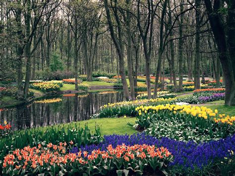 Colorful Keukenhof Gardens – Holland – World for Travel