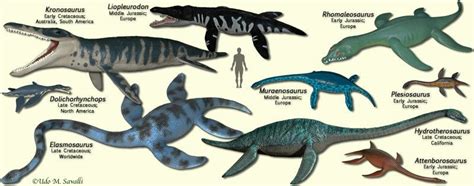 Image result for plesiosaurs | Dinosaur images, Prehistoric creatures ...