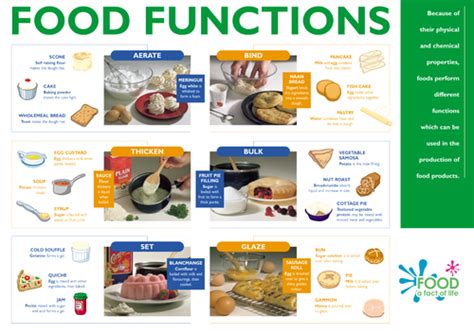 Food Functions - Poster | Teaching Resources