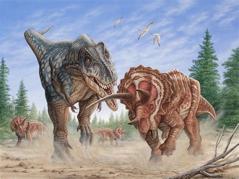 T-rex vs. Triceratops (s) by Phil Wilson | Prehistoric animals, Dinosaur art, Prehistoric wildlife