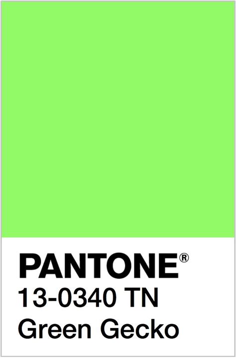 Color Trend Inspiration | Neon Color Codes | Neon colour palette, Pantone, Neon color