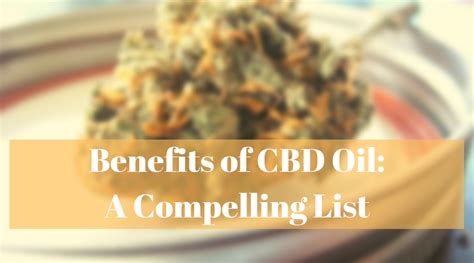 Benefits of CBD Oil_ A Compelling List | Institute of Ecolonomics