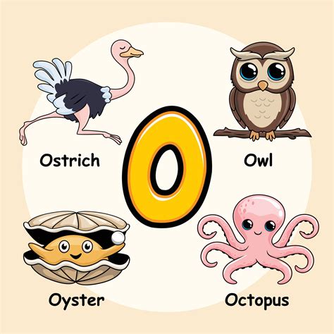 Animals Alphabet Letter O for Owl Octopus Ostrich Oyster 3281067 Vector Art at Vecteezy