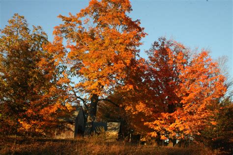 Fall Colors Of New Hampshire - New England