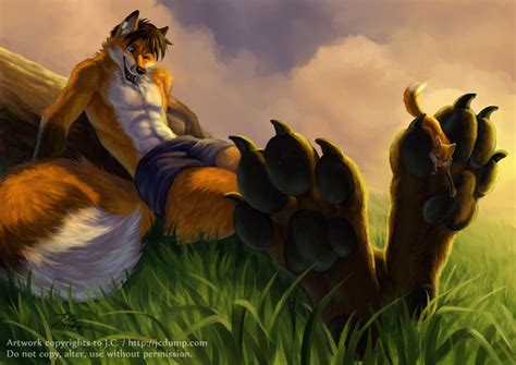 Fox on fox paws by J-C on DeviantArt