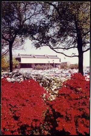 Richardson Public Library, Richardson, Texas - The Portal to Texas History