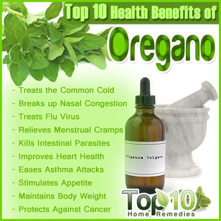 Oregano Juice Health Benefits - Best Juice Images