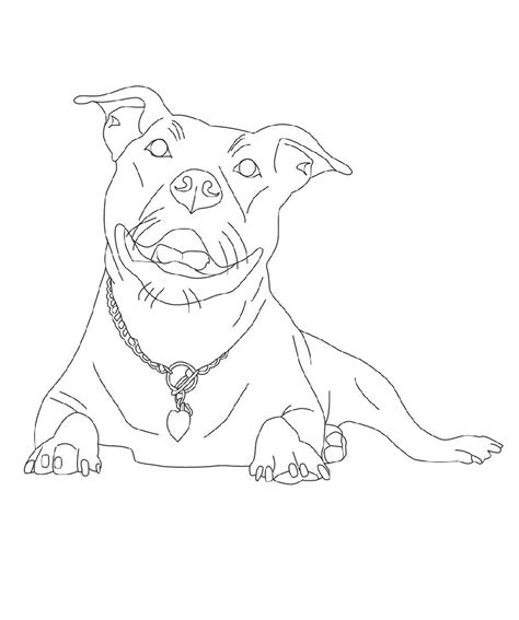 Pitbull Coloring Pages Free Download | Educative Printable