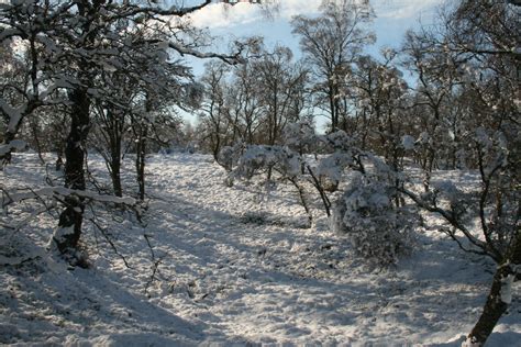 5 ideas for a winter walk in the Ardennes