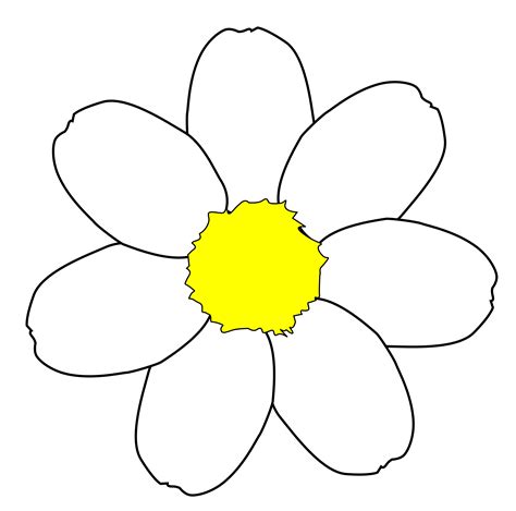 Clip Art Daisy Flower - Cliparts.co