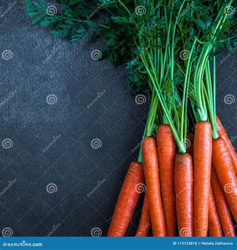 A Bunch of Carrots. Fresh Raw Carrots with Stems Stock Photo - Image of ...