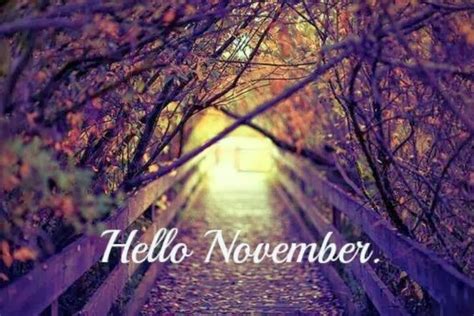 Hello November Pictures, Photos, and Images for Facebook, Tumblr ...