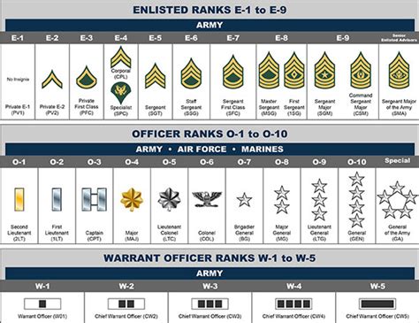 All army ranks Diagram | Quizlet