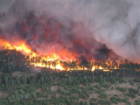 Fire’s effects on soil moisture, runoff | Soil Science Society of America