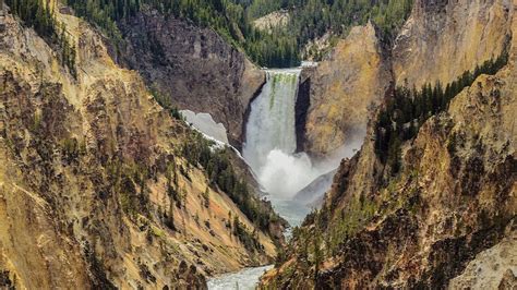 What Are 6 of the Best East Yellowstone National Park Attractions ...