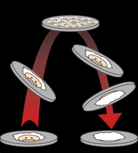 How the Result of a Coin Toss [IMAGE] | EurekAlert! Science News Releases