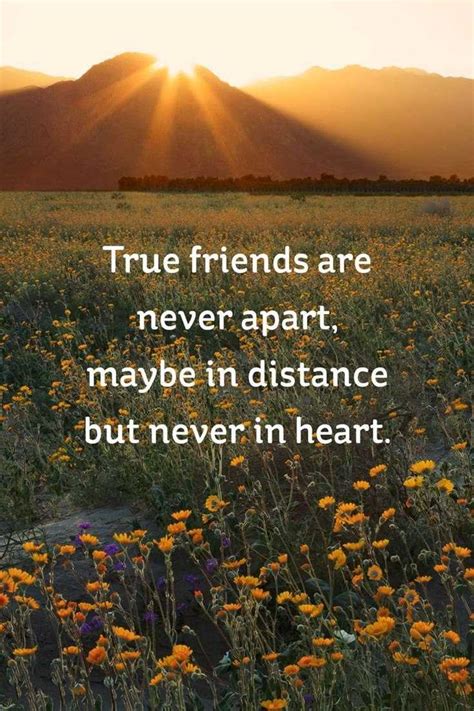 59 True Friendship Quotes - Best Friends Forever Quotes - BoomSumo