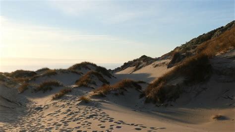 Wallpaper sand, hill, dunes, grass, traces hd, picture, image