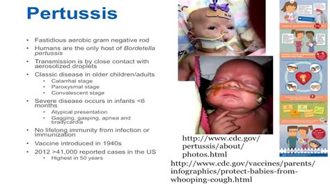 pertussis,what to know?