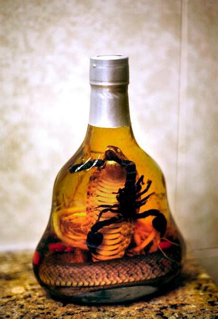 Chinese Snake Wine | This bottle of wine from Beijing has an… | Flickr