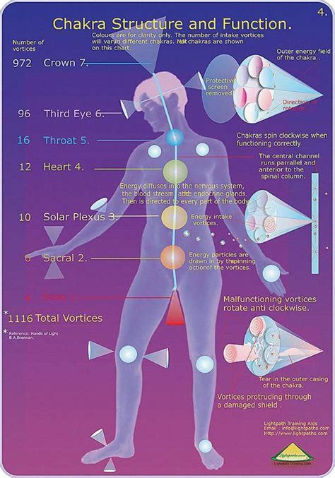 Reiki Training | Chakra, Pranic healing, Reiki healing