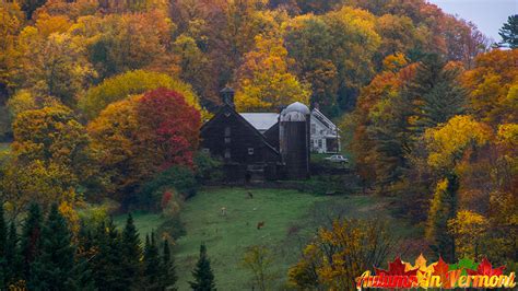 Autumn in Vermont - Autumn in East Montpelier Vermont