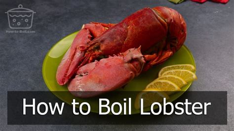 How to Boil Lobster: A Quick 4-Part Learning Journey - How-to-Boil.com