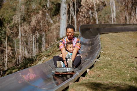 ALPINE SLIDE - Corin Forest