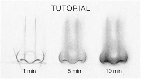 Nose Drawing Tutorial Step By Step : Nose Three Quarter | Bodegawasuon