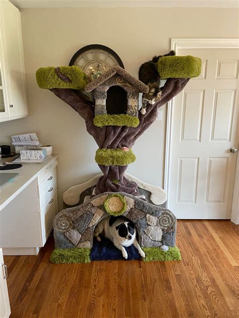 Reddit - Barkitecture - The Bridge, Another Cat Tree I Just Finished ...