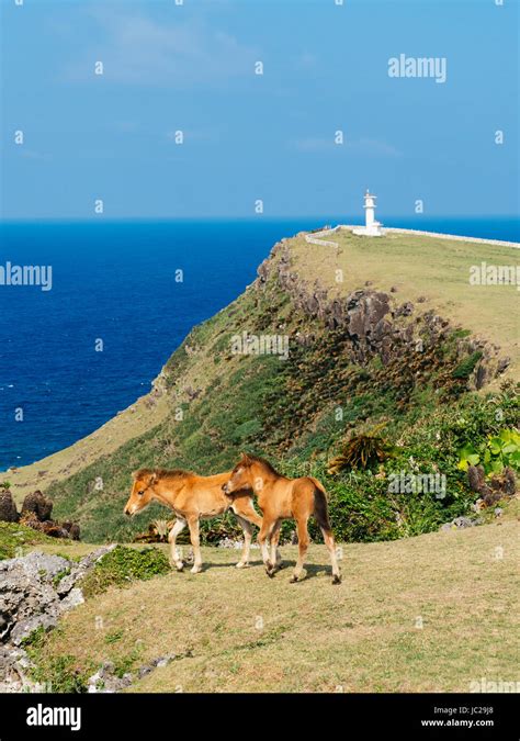 Yonaguni Island, Okinawa Prefecture, Japan Stock Photo - Alamy