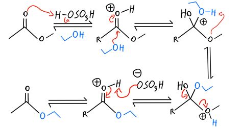 Esterification Reaction