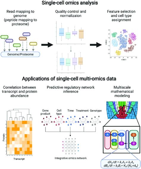 Analysis and applications of single-cell omics in plants. Single-cell... | Download Scientific ...