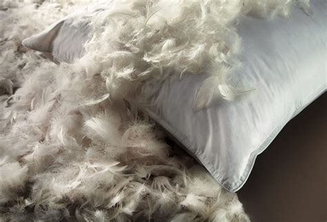 7 Best Feather Pillows Reviewed in Detail (Fall 2023)