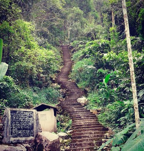 Home To Double Decker Living Root Bridge - Nongriat Village - Tripoto