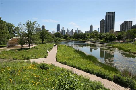 Nature Boardwalk at Lincoln Park Zoo: a haven for native wildlife | PANORAMA