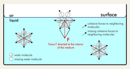 Dimensions of Surface Tension - Units, Dimensions | ProtonsTalk