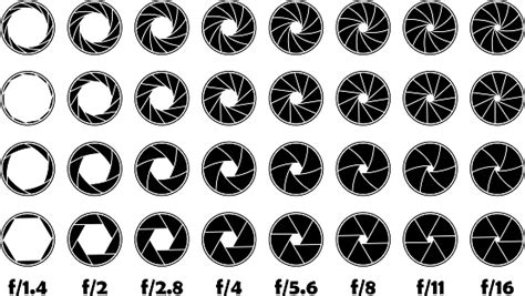 조리개 F그림 F 1416 카메라에 대한 스톡 벡터 아트 및 기타 이미지 - 카메라, 조리개, 렌즈-광학 기기 - iStock