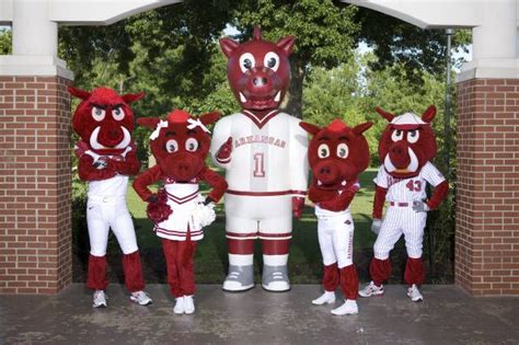 Razorback mascot team | Arkansas razorbacks mascot, Arkansas razorbacks ...