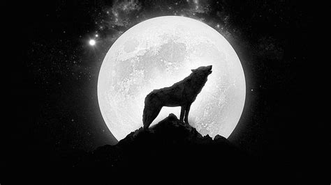 Online crop | HD wallpaper: Wolf howling at the full moon, silhouette ...