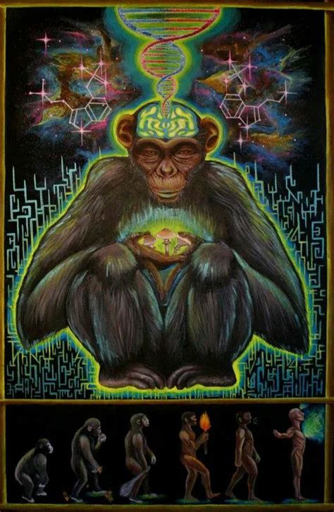 The ‘Stoned Ape’ Theory Might Explain Our Extraordinary Evolution ...