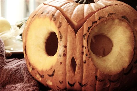 Our Little Burrow: My very 1st DIY: Decorative Owl Pumpkin