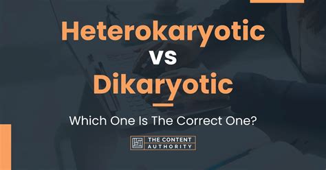 Heterokaryotic vs Dikaryotic: Which One Is The Correct One?