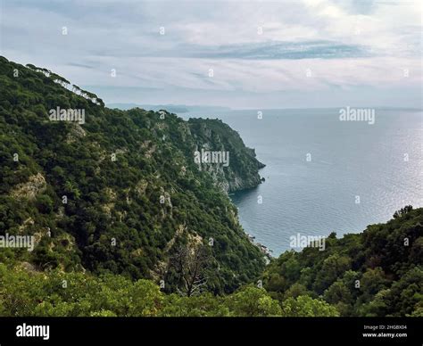 Panorama in Portofino Natural park gulf from hiking trails, Liguria ...